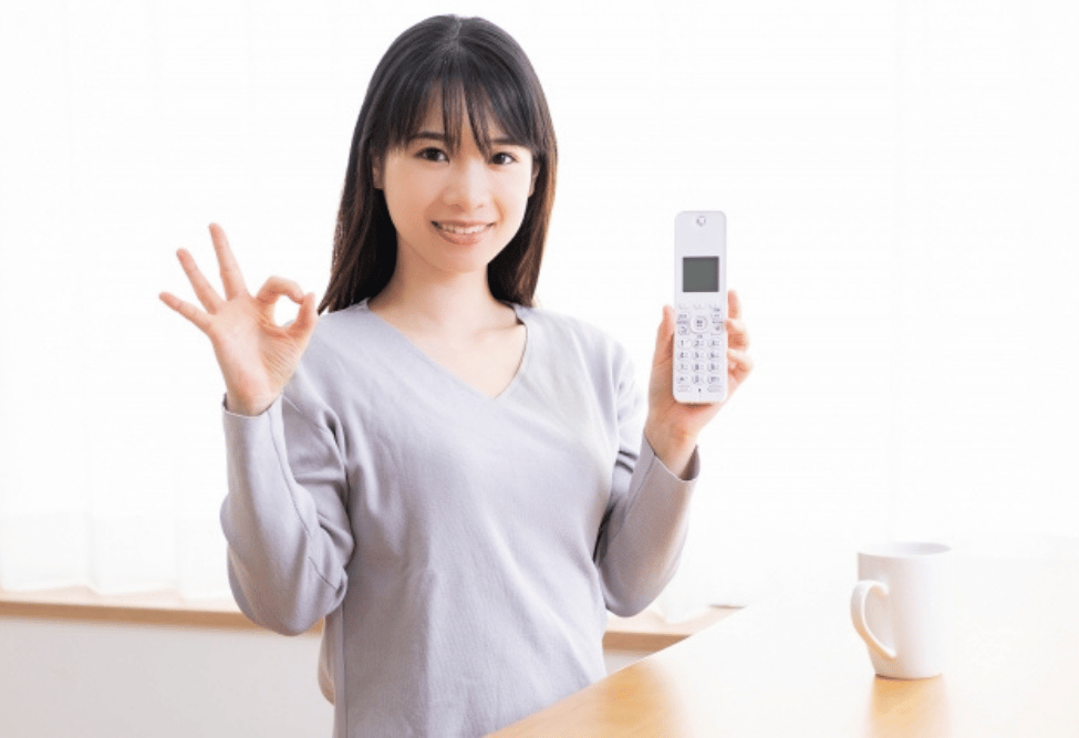 固定電話の番号ポータビリティ_まとめ
