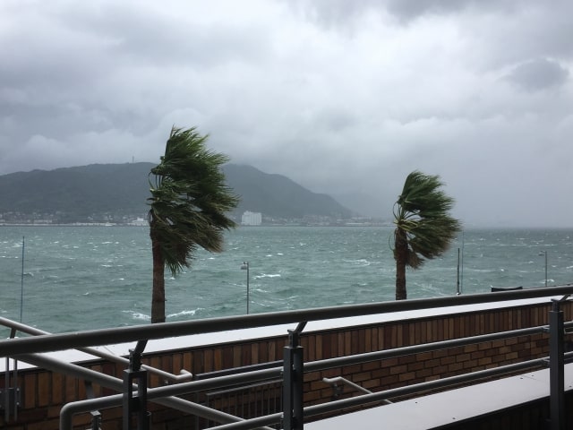 台風・自然災害